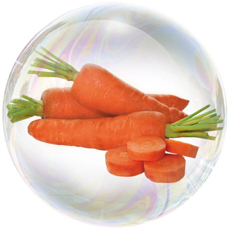 Carrot (Daucus carota)**